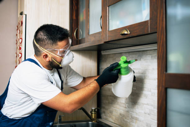 Best Bed Bug Extermination  in Upper Ack, NY