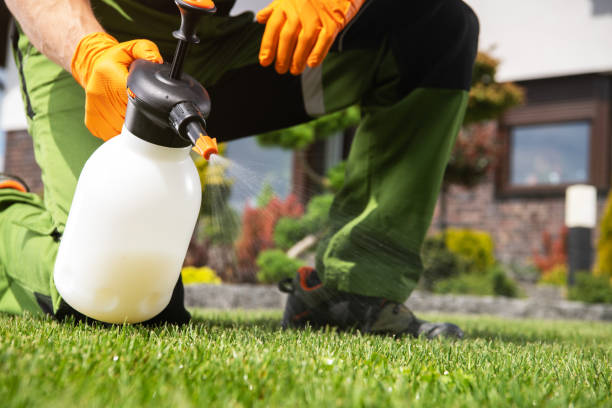 Best Emergency Pest Control  in Upper Ack, NY