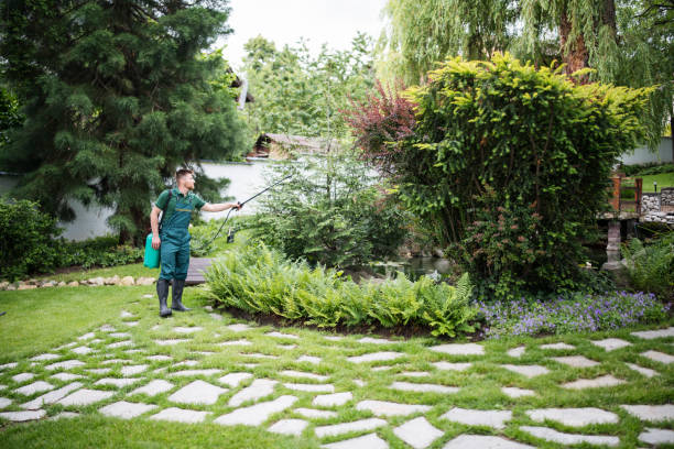 Best Pest Inspection Near Me  in Upper Ack, NY