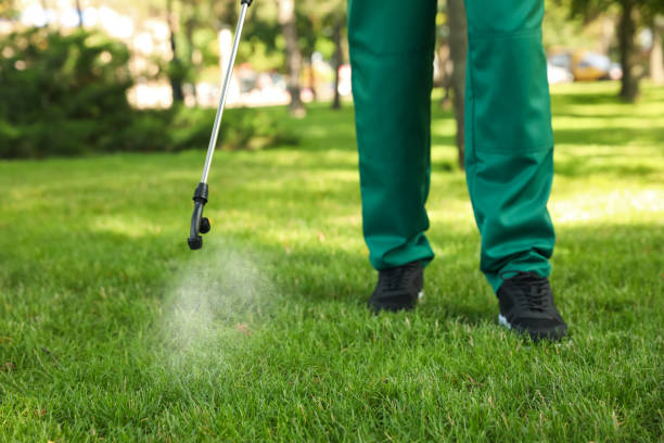 Best Termite Control Services  in Upper Ack, NY