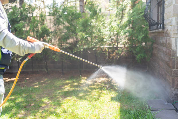 Best Cockroach Control Services  in Upper Ack, NY