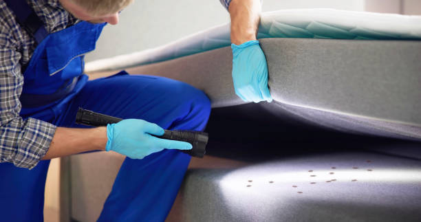 Professional Pest Control in Upper Nyack, NY