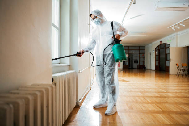 Best Pest Inspection Near Me  in Upper Ack, NY