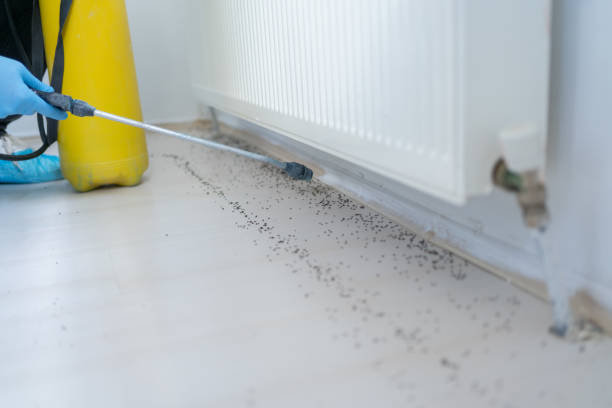 Best Residential Pest Control  in Upper Ack, NY